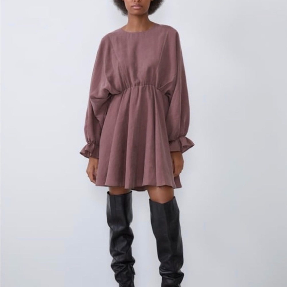 Zara Voluminous Long-Sleeve Dress